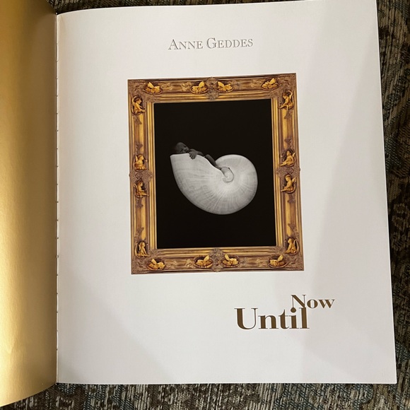 Anne Geddes Until Now Coffee Table Book - Picture 3 of 6